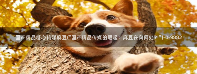 糖心在线一区