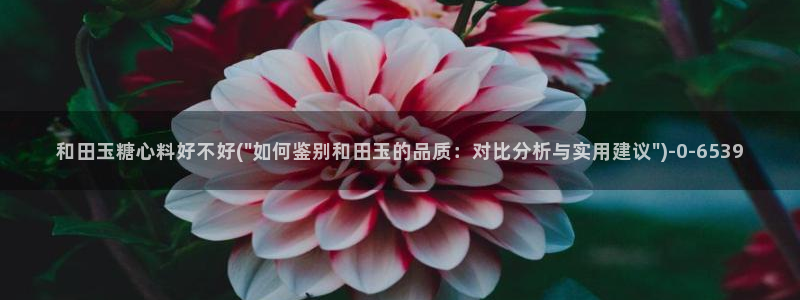 糖心vlogchloe