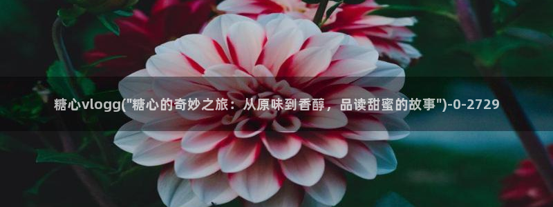 糖心vlgo猫宝宝