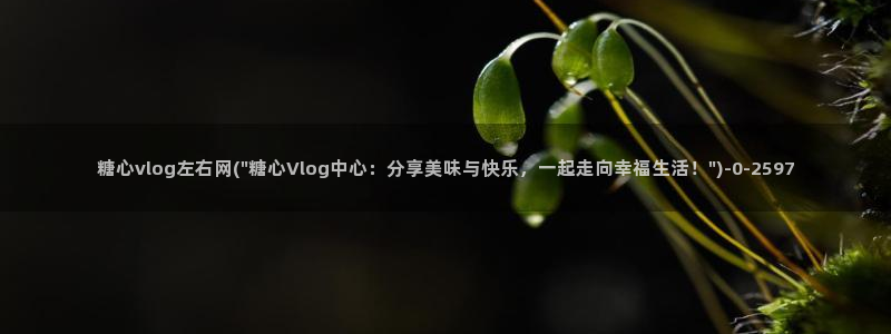 糖心,com：糖心vlog左右网(\