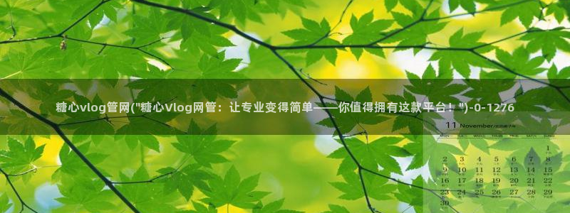 糖心vigo