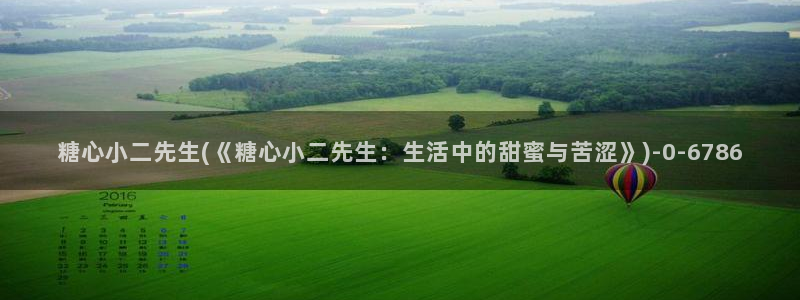 糖心vlgo女演员排行榜：糖心小二先生(《糖心小二先生：生活