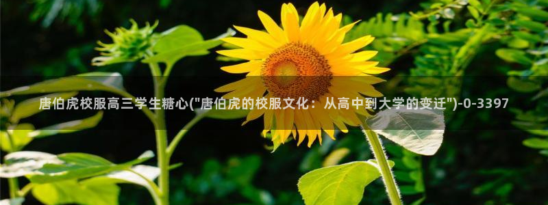 糖心vlo9